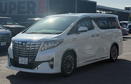 Alphard Exterior Details
